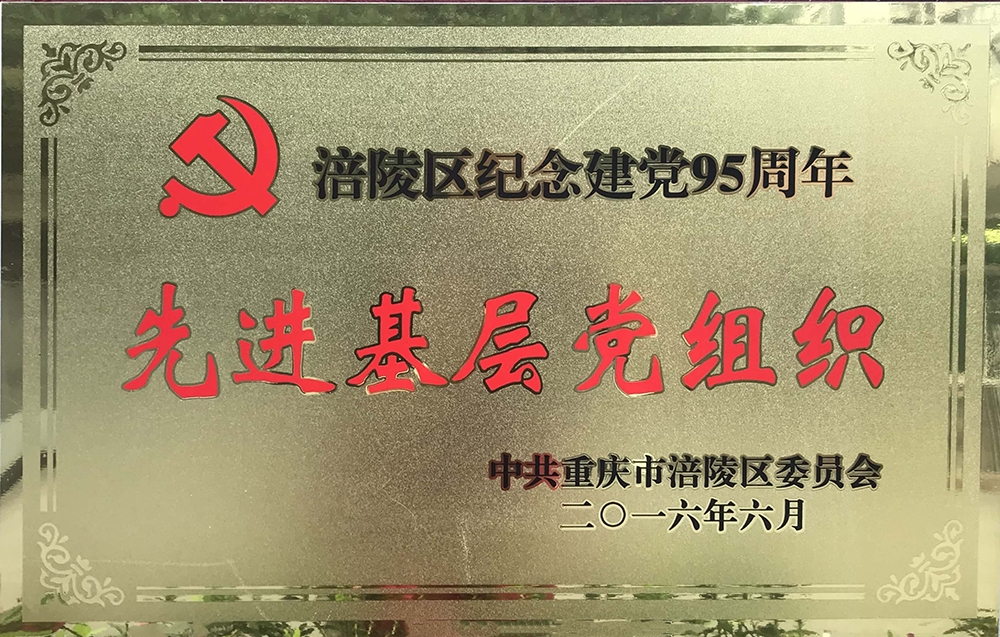 16-涪陵區(qū)先進基層黨組織.jpg